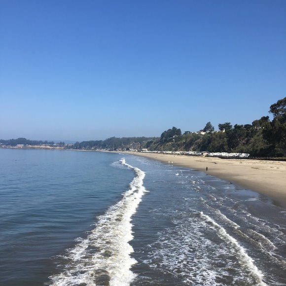 Meet your Posher, Taryn - Picture 1 of 1